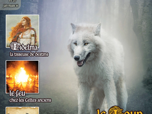 Keltia magazine n°37